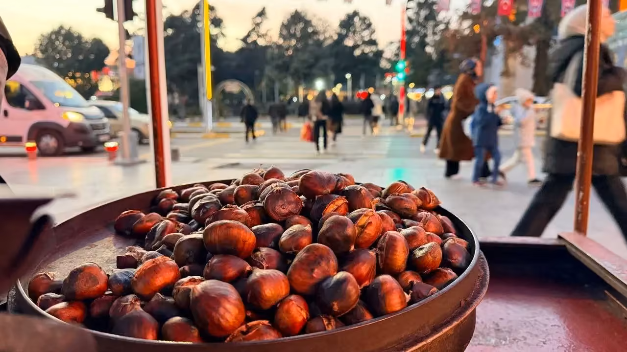 Soğuklar gelmeden kestane tezgaha çıktı