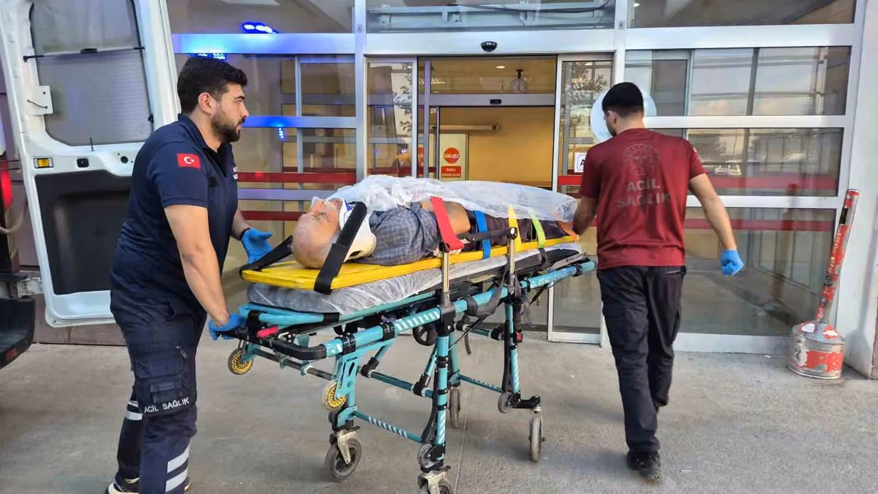 Ağaç keserken düşen yaşlı adam yaralandı