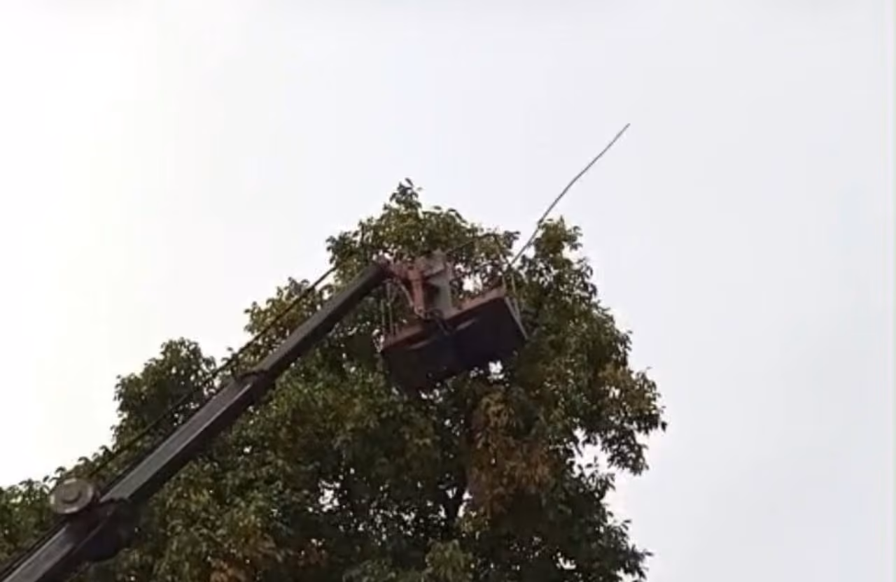 Doski Vadisi’nde vinçle ceviz hasadı yapıldı