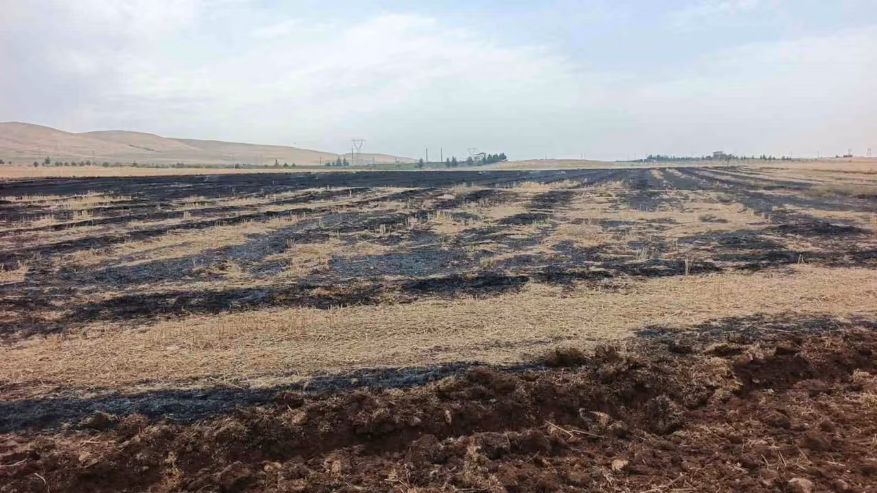 Siirt’te anız yakan çiftçiye adli ve idari işlem
