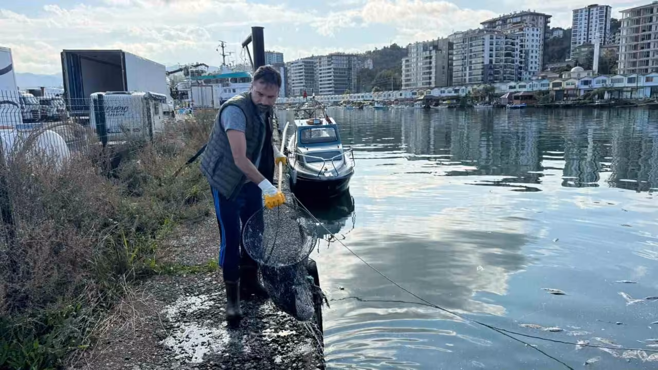 Balık çöplüğüne dönen liman temizlendi