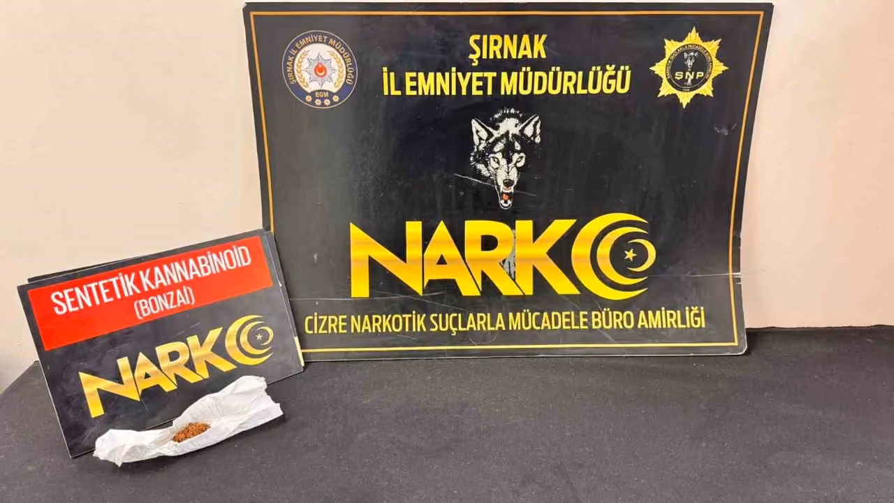 Şırnak’ta emniyet ekiplerinden asayiş, kaçakçılık ve narkotik operasyonu: 17 tutuklama