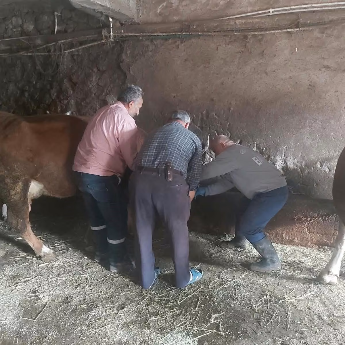 Aydıntepe’de yavru atık bildirimi üzerine saha çalışması yapıldı