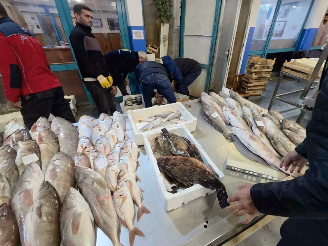 Buca Balık Hali’nde gece denetimi: Yasa dışı avlanan su ürünlerine el konuldu