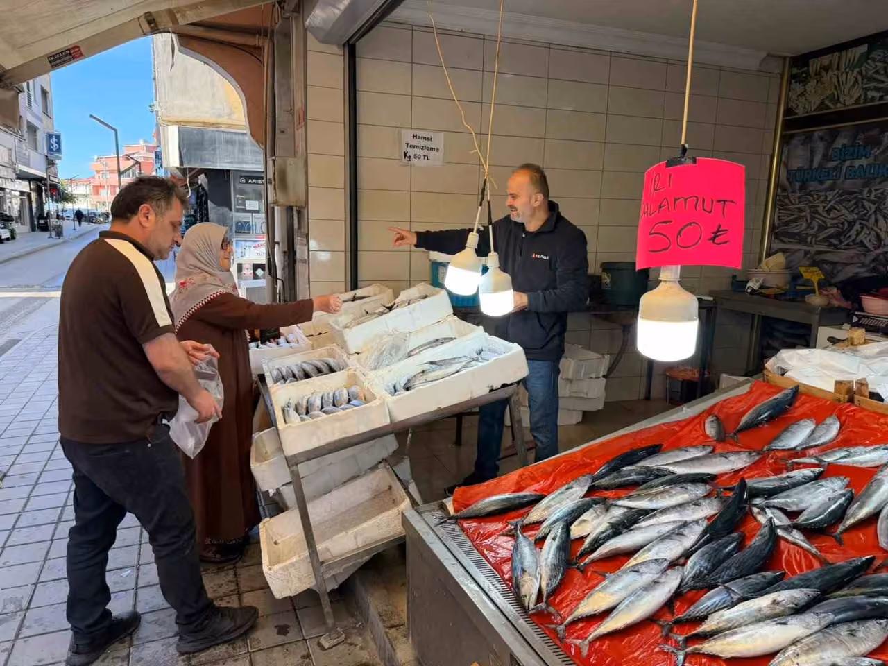 Türkeli’de palamutun adeti 50 liraya düştü