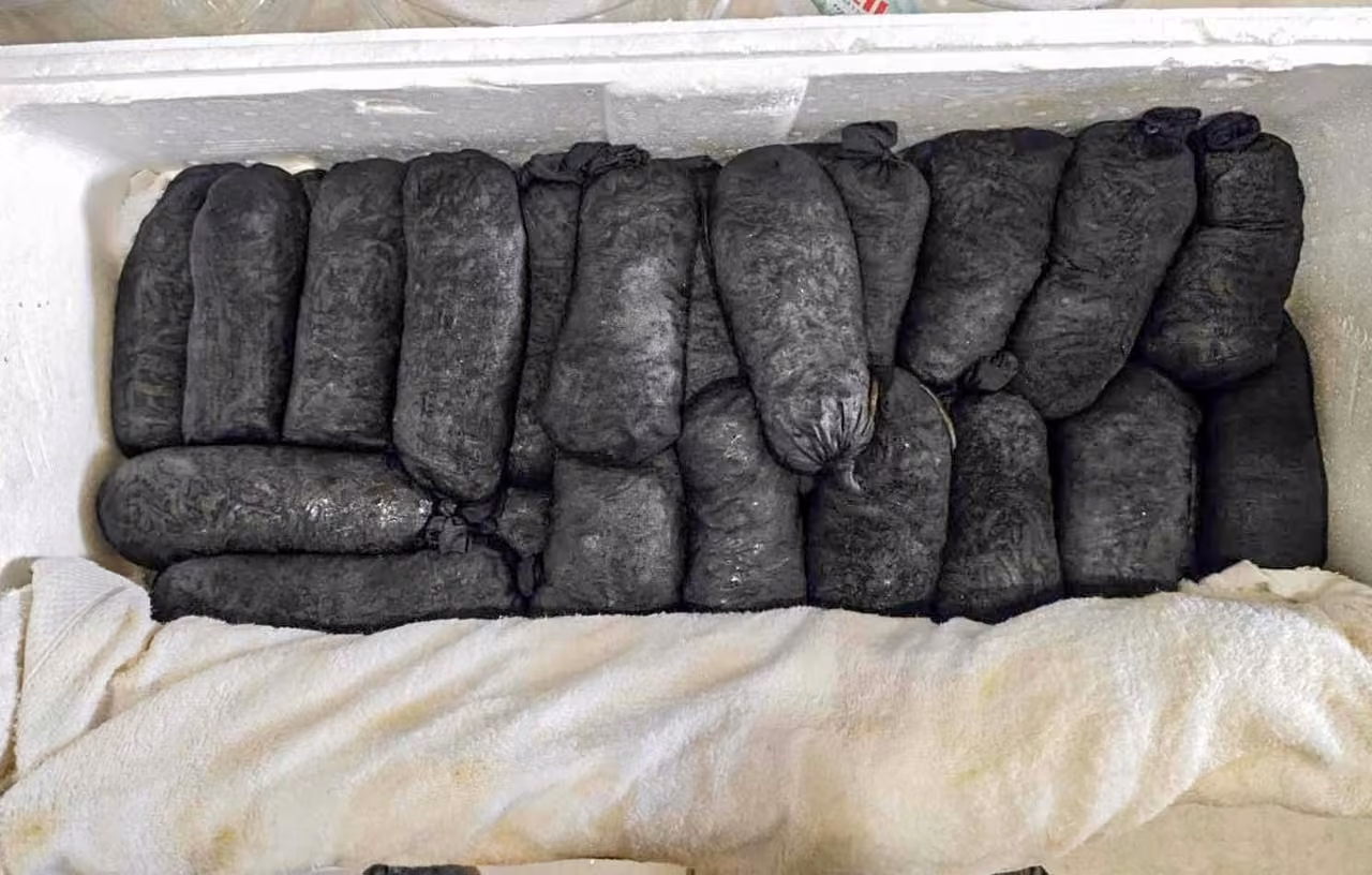 Kayseri’de yasa dışı yollarla ülkeye sokulmak istenen 25 bin adet canlı sülük ele geçirildi