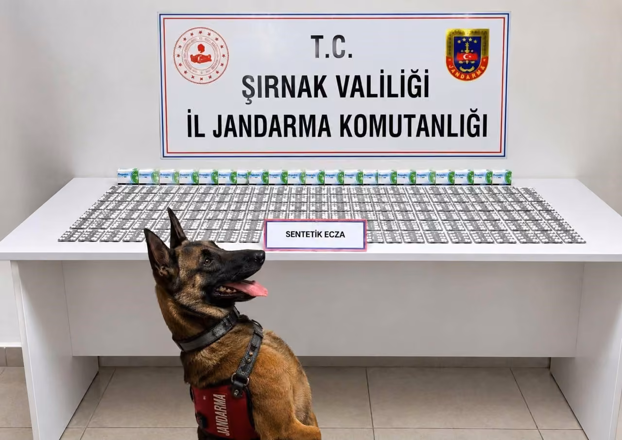 Şırnak’ta jandarmadan uyuşturucu ve aranan şahıslara operasyon: 12 tutuklama
