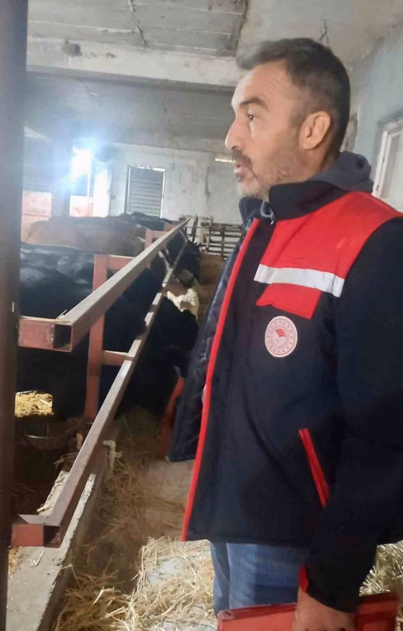 İthal hayvanların bulunduğu işletmelerde kontroller sürüyor