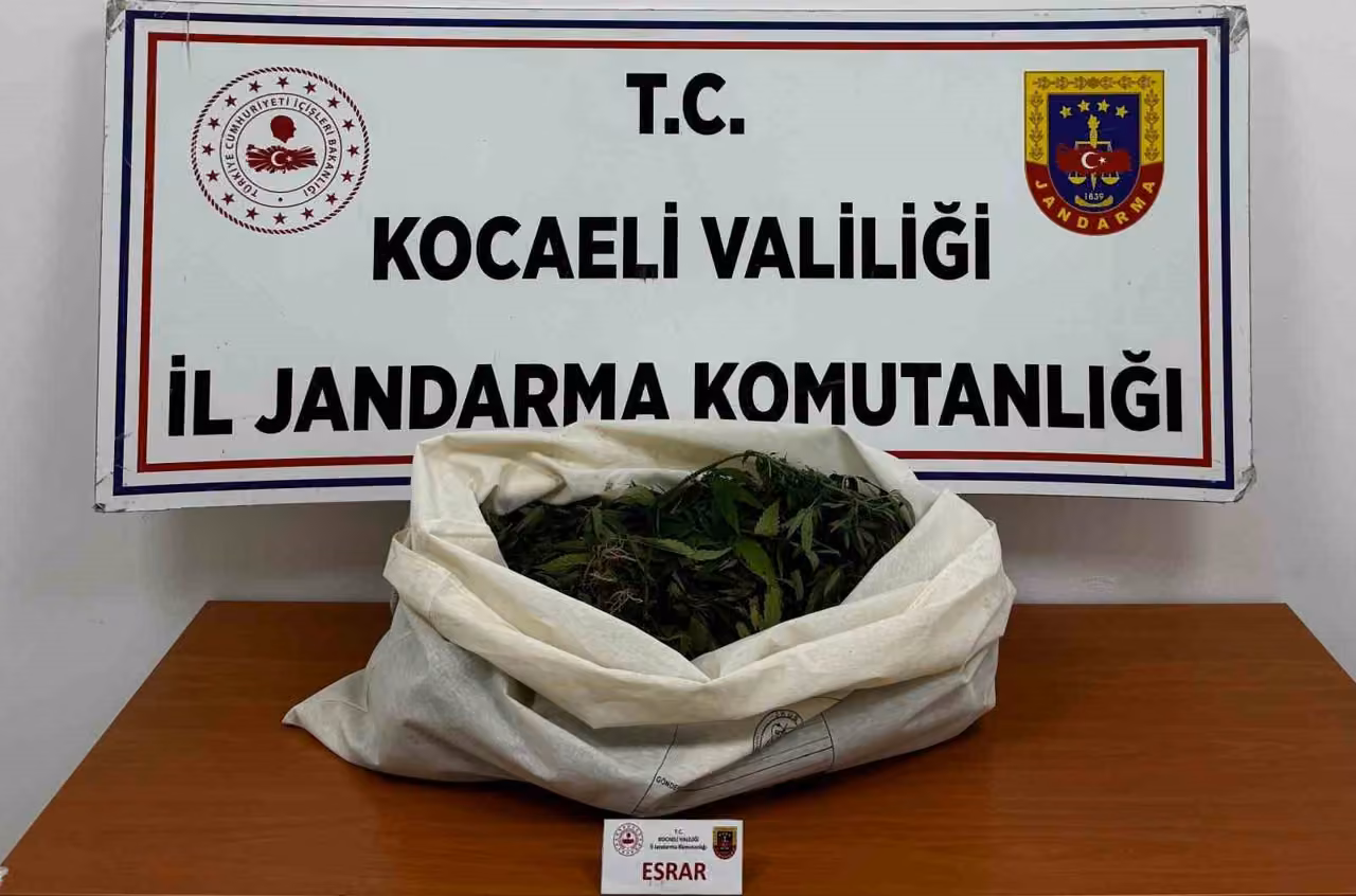 Kocaeli’de jandarmadan 4 ilçede uyuşturucu operasyonu