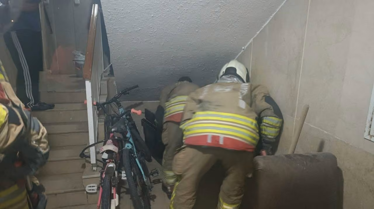 İskenderun’da yerleşim yerinde görülen yılan yakalanarak doğaya bırakıldı