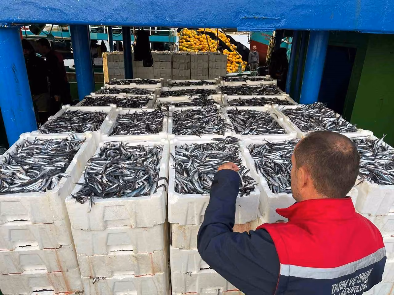Didim’de su ürünleri avcılığı denetimleri sürüyor