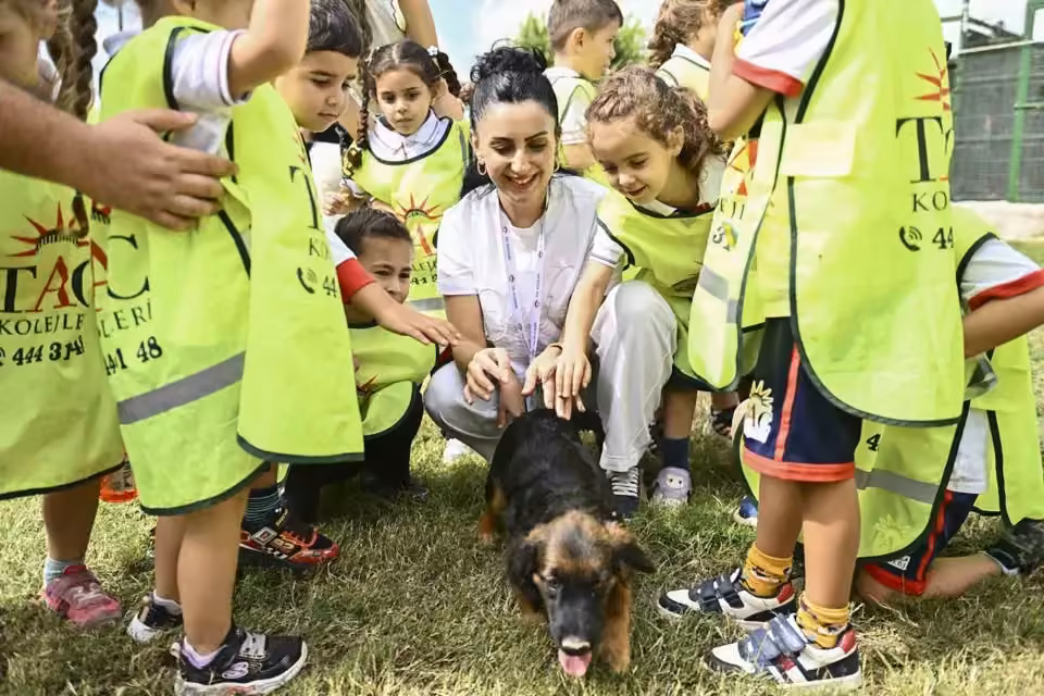 Muratpaşa’da 2026’da 287 sokak hayvanı yeni yuvasına kavuştu