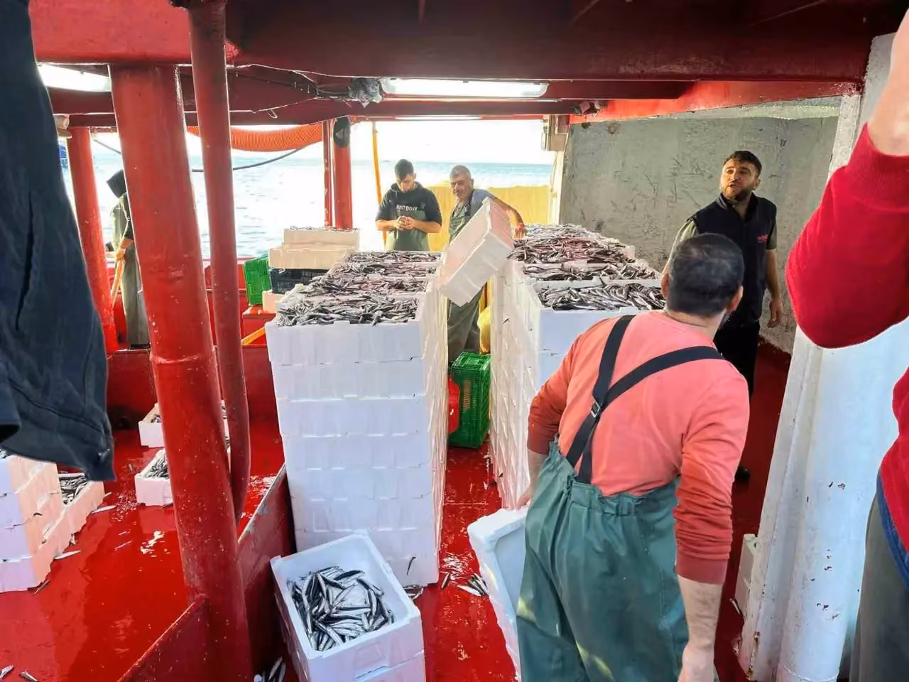 Didim’de ‘Hamsi Kotası’ denetimi yapıldı