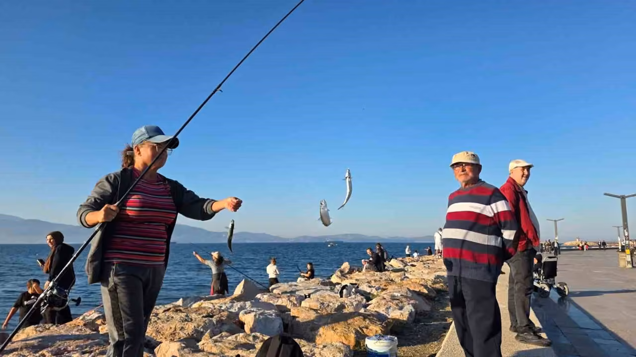 Bandırma sahilinde tırsi bereketi, kovalar kısa sürede doldu