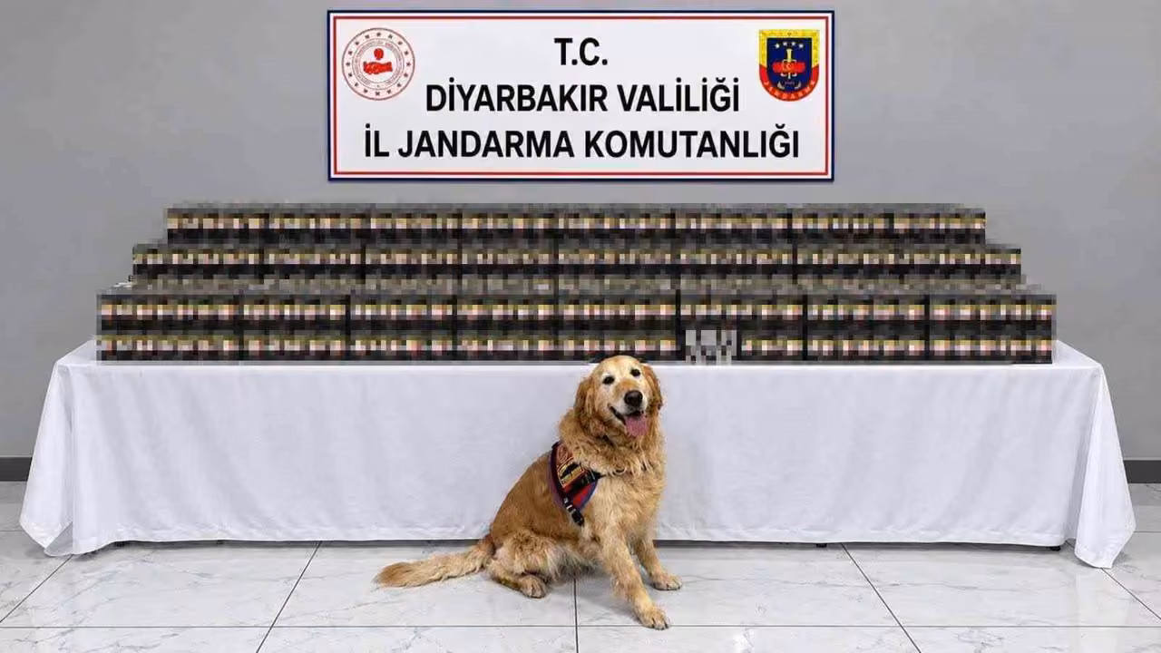 Diyarbakır’da kaçakçılık operasyonlarında 29 şüpheli hakkında işlem yapıldı