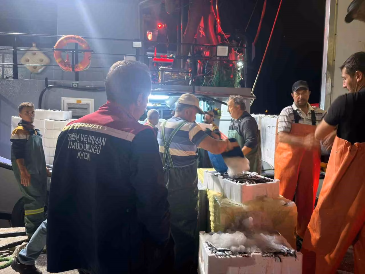 Didim’de ‘Hamsi Kotası’ denetimi yapıldı