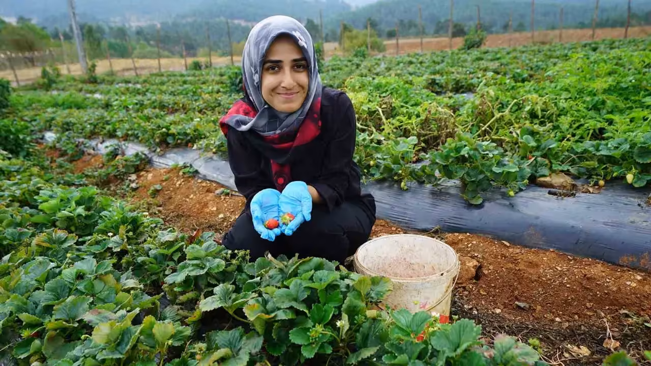 Kadınların emeği Kahraman Kadın Platformu’yla geniş kitlelere ulaşıyor