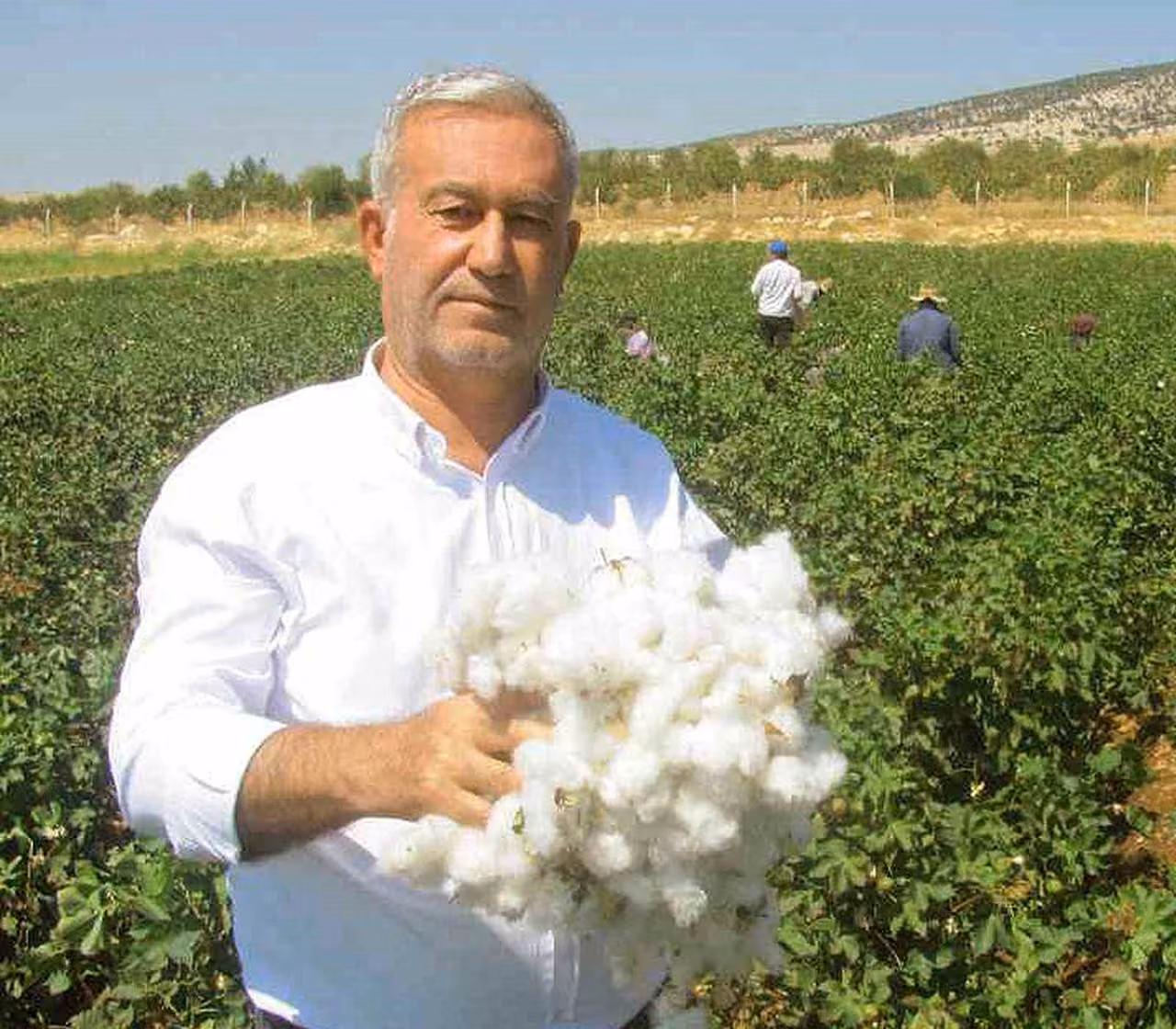 Araban ÇUKOBİRLİK 2026-2027 yılı pamuk alım fiyatlarını açıkladı