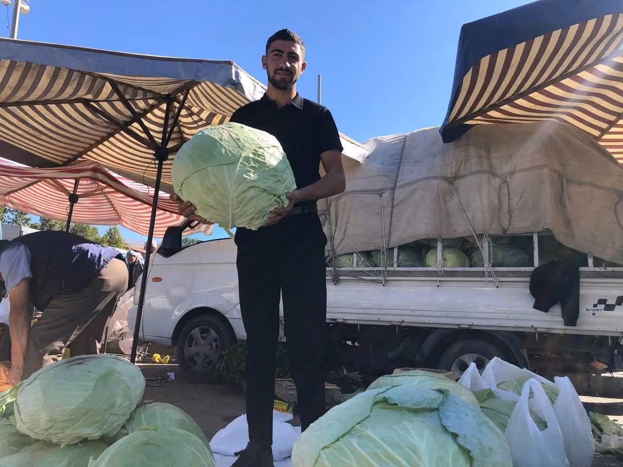 Erzincan’da turşuluk ve yemeklik lahanalar tezgahta yerini aldı