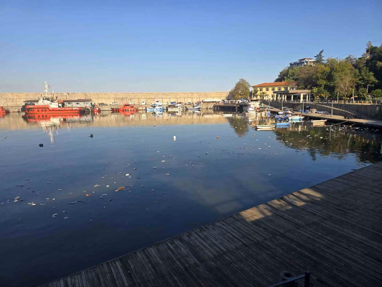 Zonguldak Limanı’nda çevre kirliliği dikkat çekti