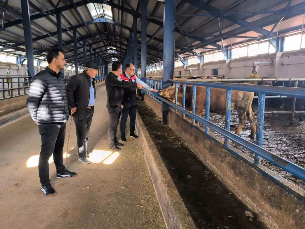 Bayburt’ta yüzde 50 hibe desteğiyle kurulan hayvancılık işletmesi incelendi