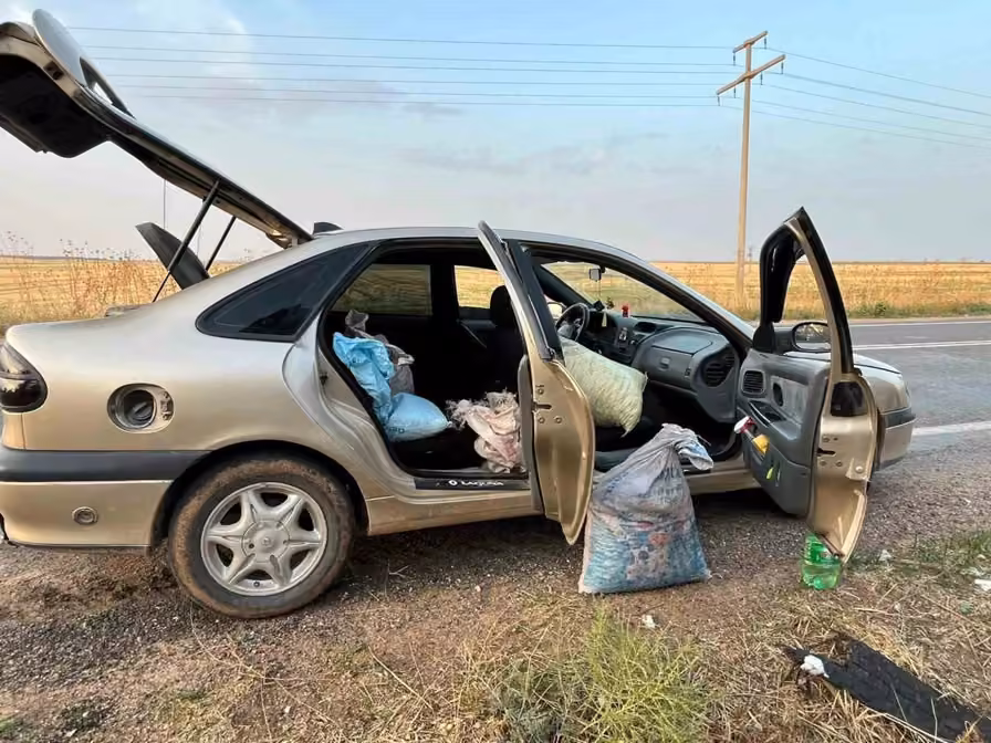 Şanlıurfa’da 4 fıstık hırsızı suçüstü yakalandı