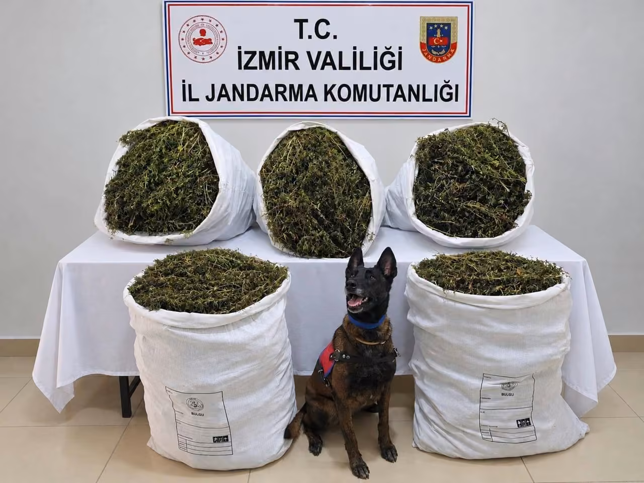İzmir’de uyuşturucu operasyonu: 54 kilo 800 gram esrar ele geçirildi, 3 kişi tutuklandı