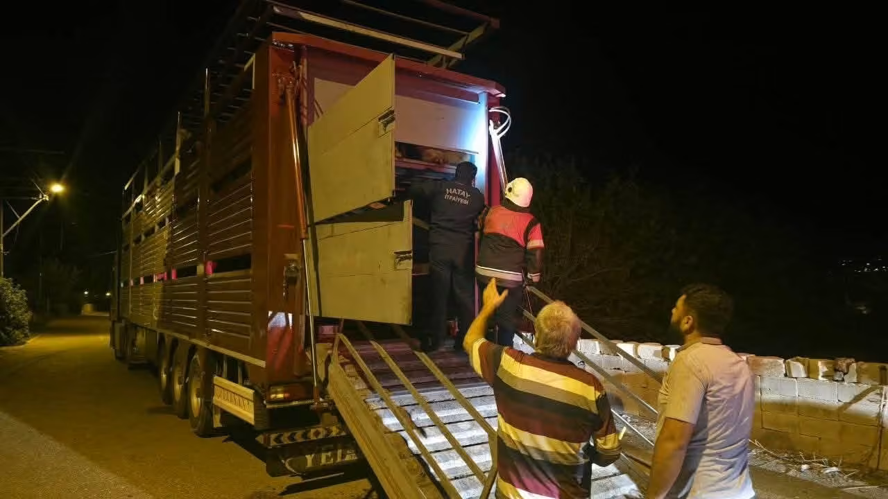Tırın dorsesinde sıkışan 40 keçi kurtarıldı