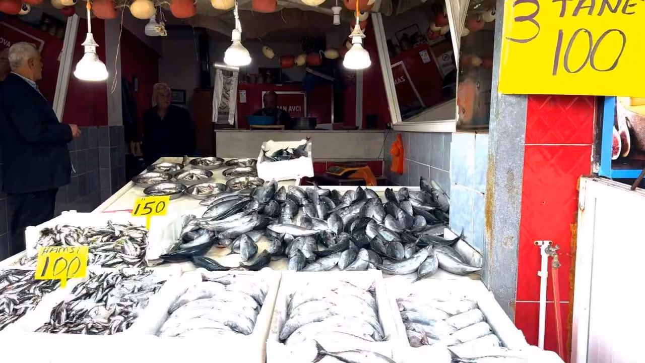 Rize’de palamutun 3 tanesi 100 TL’den satılıyor