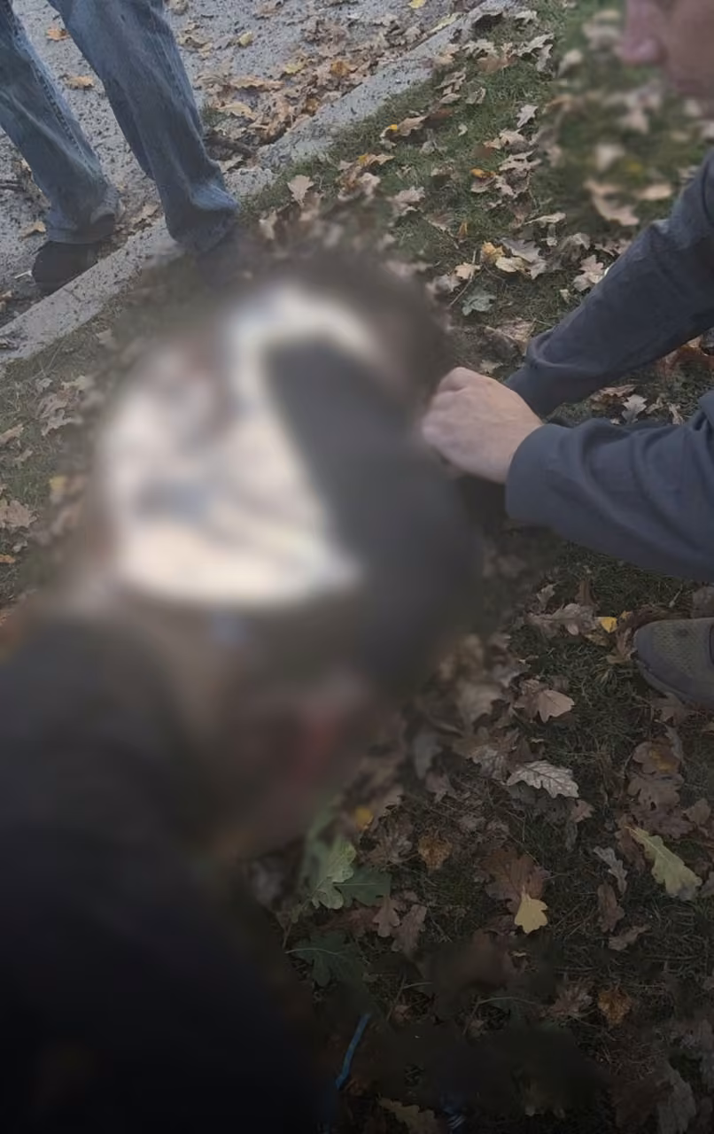 Rusya Ukrayna’da parkı vurdu: 3’ü çocuk 6 ölü