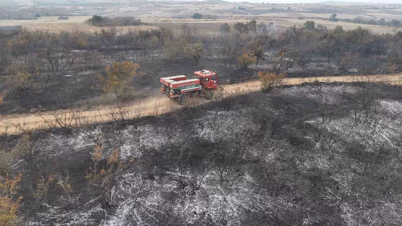 Edirne’de anız yangını: Kaplumbağalar ve yabani hayvanlar da etkilendi