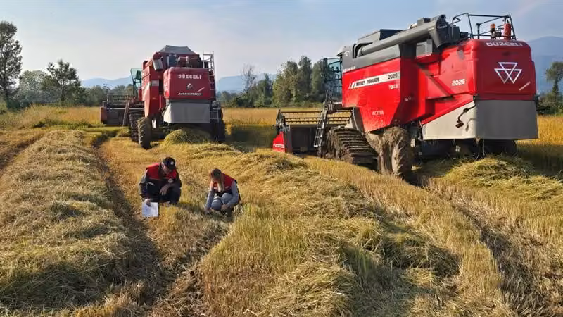 Düzce’de verimli hasat için biçerdöver denetimleri sürüyor