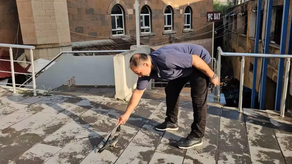 Adilcevaz’da kasap ile karga arasındaki sıra dışı dostluk görenleri gülümsetiyor