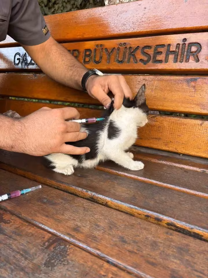 Hayvan dostu GKV’li öğrencilerden örnek davranış