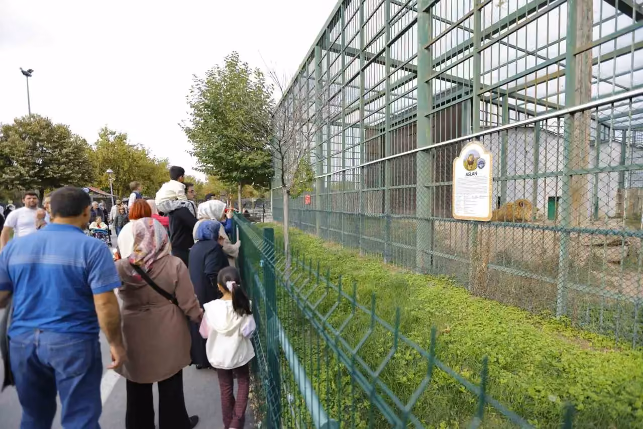 Ücretsiz hayvanat bahçesi uygulamasına yoğun ilgi